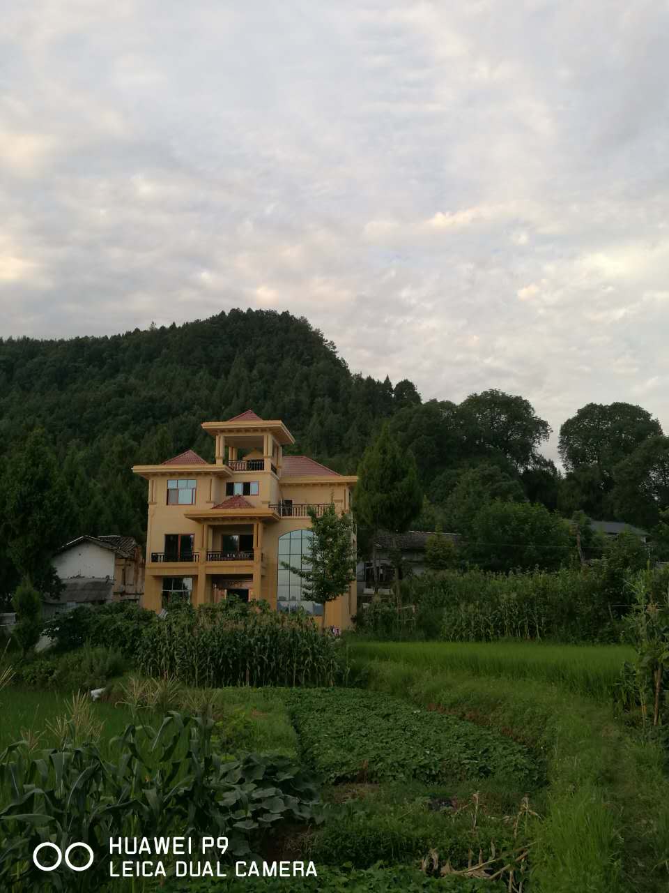 頭像